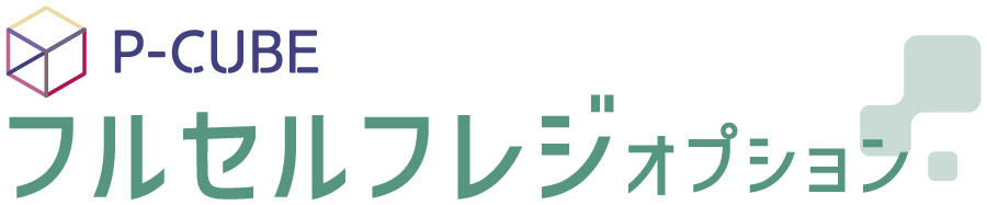 P-CUBE フルセルフレジオプション
