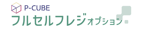 P-CUBE フルセルフレジオプション